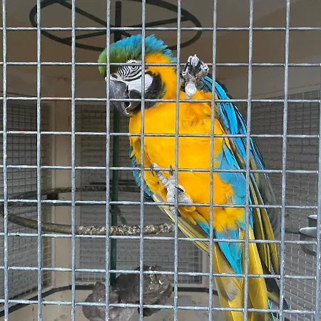 Quinta Da Paz Azores *