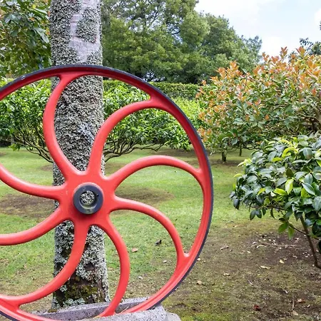 Lejlighed Quinta Da Paz Azores