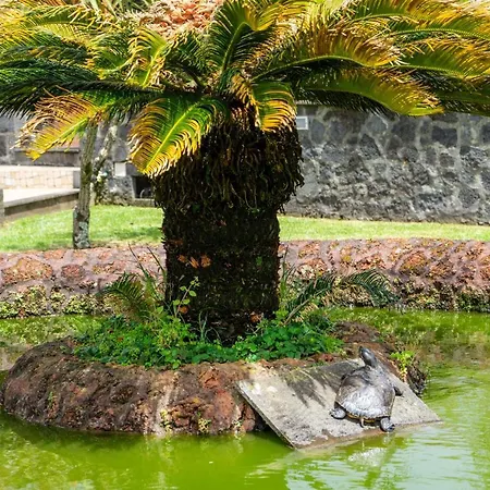 Lejlighed Quinta Da Paz Azores *