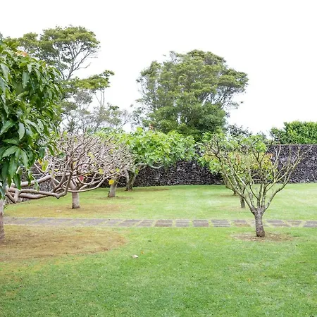 Quinta Da Paz Azores Lejlighed Pico da Pedra