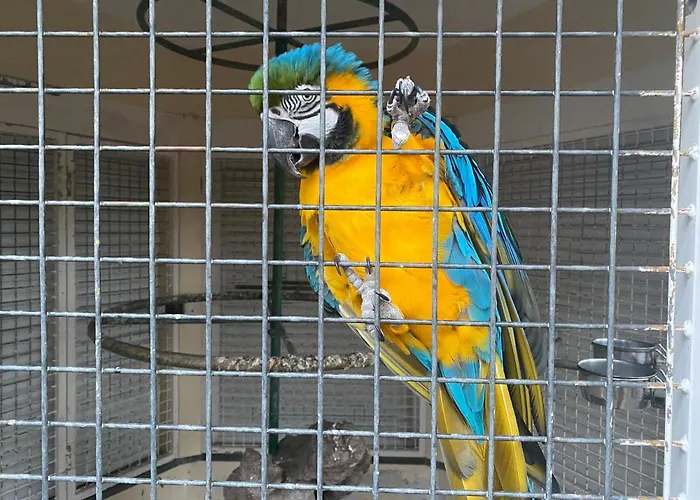 Quinta Da Paz Azores *