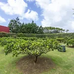Quinta Da Paz Azores Apartamento