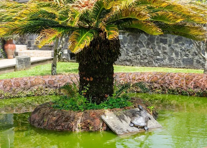 Appartement Quinta Da Paz Azores *