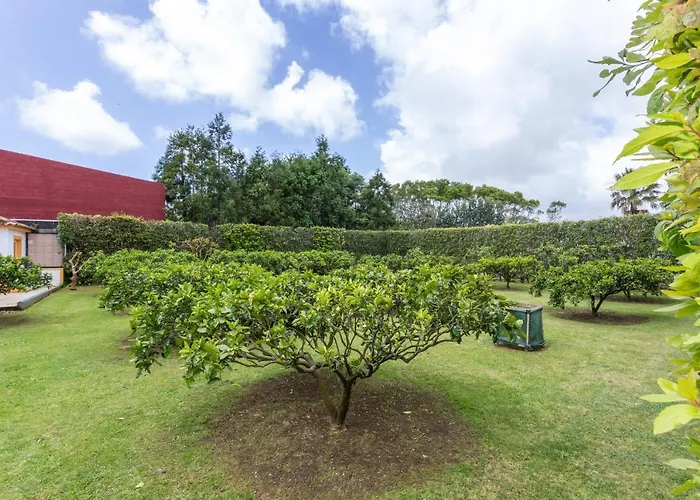 Quinta Da Paz Azores Appartement